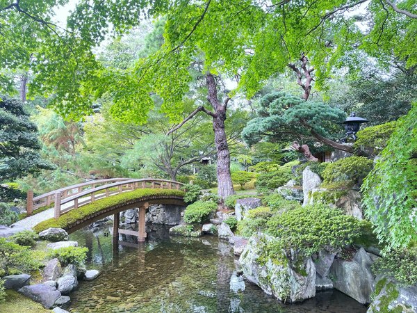 Comment créer un jardin vertical auto-irrigué pour un balcon exposé plein sud ?